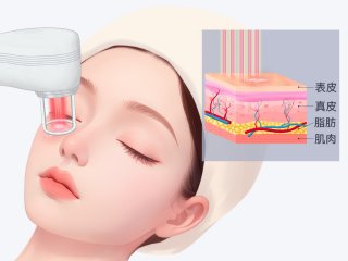 �̺�ӡ��ɫ����������